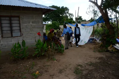 DSC_8686 (Large).JPG